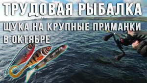 Трудовая рыбалка  Ловим щуку в октябре на крупные приманки