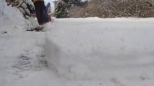 Снегоуборщик навесной для мотоблока. Чистим мокрый снег.