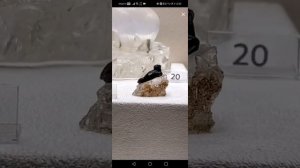 Экскурсия по музею Фаберже