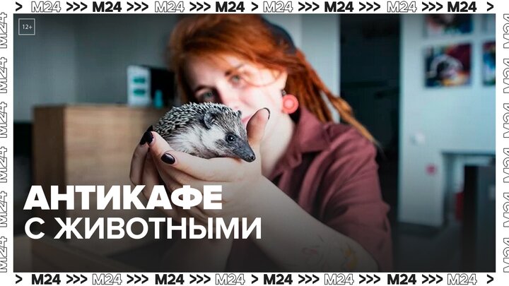 "Это Москва. Бизнес-инвестиции": как работают столичные антикафе с животными