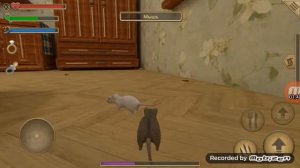 мышка сосиска!