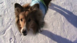 Лета 10.02.2020 по льду