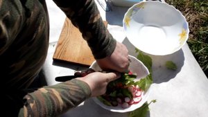 Салат из ботвы редиски