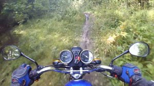 Покатушки На Мопеде Альфа До Озера В Лесу