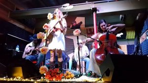 Обними Кита - Миру нужен герой