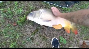 ТОП 20 НОВИНОК ДЛЯ РЫБАЛКИ С АЛИЭКСПРЕСС / Товары для рыбалки из Китая