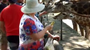 Путешествия в Таиланд. Зоопарк Као Кео./ Travel to Thailand. Zoo Kao Keo.