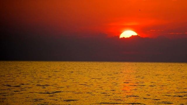Загуляла с мужем сестры и залетела.