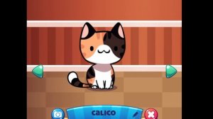 BASIC ROOM | Cat Game The Cat Collector