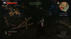 Ведьмак 3 квест Распутывая клубок прохождение