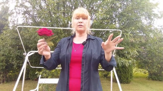 Вершинная гниль томатов. смотреть онлайн