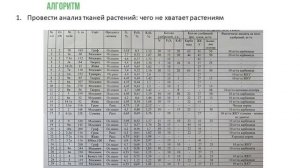 Озимая пшеница - колос. Защита и питание