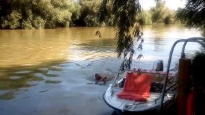 Леповани г вилково