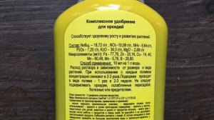 как вырастить гигантскую ОРХИДЕЮ - длина цветоноса 1,2 метра и продолжает рост