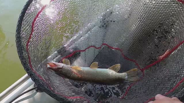 Рыбалка на хищника в Сибири. Классный отдых на Оби! смотреть онлайн