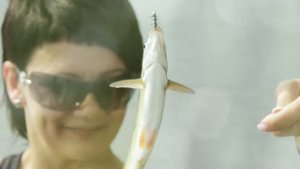 Теплоход Александр Великий