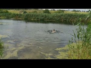 Засимовка(Шинкин)+Урыв 2021. По родным местам