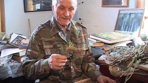 Водяника черная