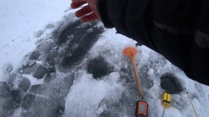 Ловля ЛЕЩА на водохранке