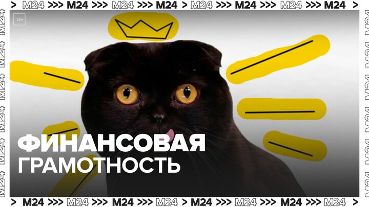 Кот Бублик Москва 24. QR кот Бублик.