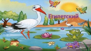 Литературная викторина по сказке Г.Х. Андерсена «Гадкий утенок»