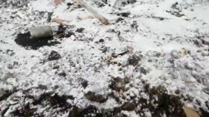 Нашли редкий колпак от дэо нексии!