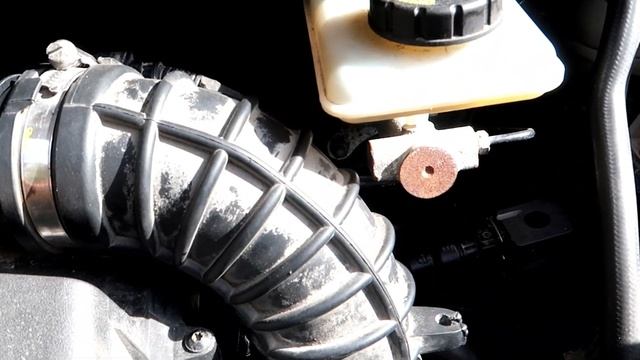 VLOG Что же было с Nissan Primastar?! В поисках грибов! смотреть онлайн