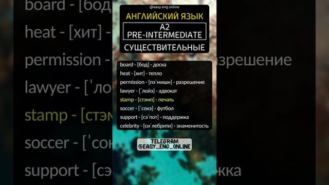 💡🇬🇧 СУЩЕСТВИТЕЛЬНЫЕ - A2 | Pre-Intermediate (8) 🏫 Самые необходимые английские слова ‼️