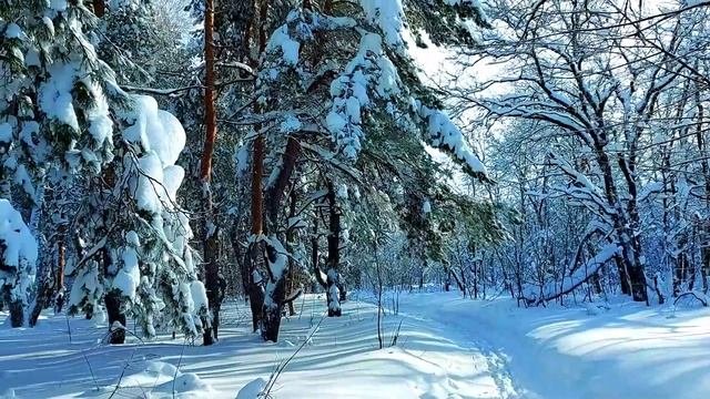 Зимний парк. Природный парк 