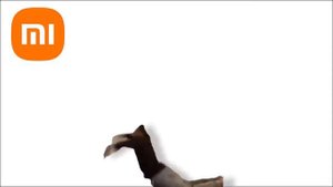 разные звуки телефонов но только YES