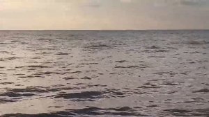 Рыбинское водохранилище. Деревня Милюшино.