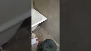 Бюджетный ремонт хрущевки в ванной комнате. Часть 3.