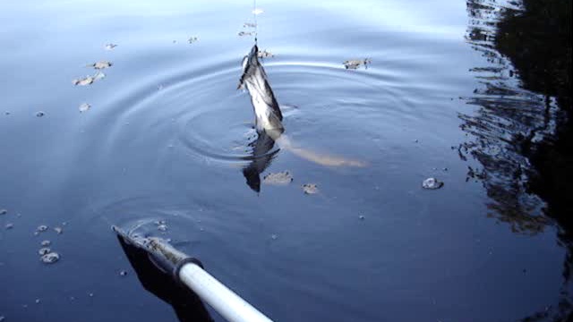 Оз. Затейливое. смотреть онлайн