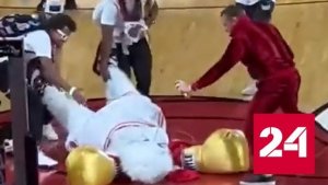 Конор Макгрегор нокаутировал маскота клуба "Майами Хит" - Россия 24 