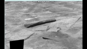 Фото со спутника На Марсе растут Деревья.