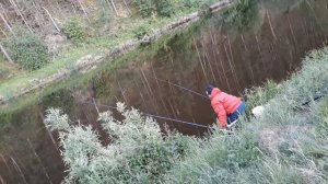 Щука 1.800 и щурята на пескаря в Жуково в Свердловской области