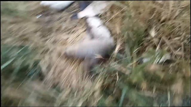 Рыбалка с ночи до утра. Васильевка, Запорожская область.