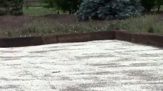 Bocce Ball Court смотреть онлайн