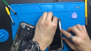 Черное пятно на экране iphone xs max