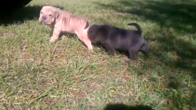 nov2011.3 смотреть онлайн