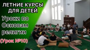 Права соседей и права родственников / Так проходят летние курсы для детей (Часть №10).