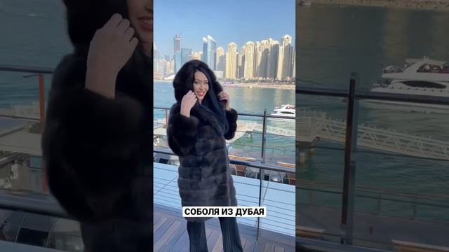 Баргузинский соболь. Шуба из Соболя. Пошив Соболя по своим размерам. Греческая шуба