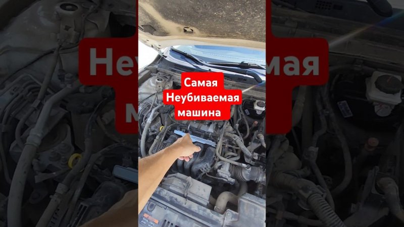 По цене Соляриса и Поло!