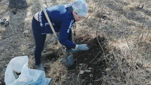 Обнаружено логово ...в лесополосе