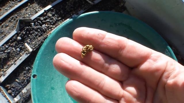 I Found the Placer Gold Bonanza Again - 1.75 oz's in 3 Days! смотреть онлайн