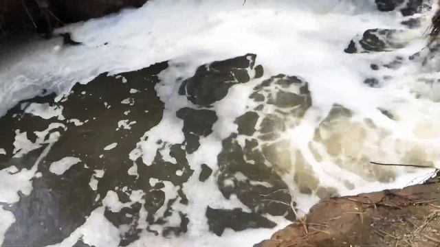 Сумерки |Лес как в Сумерках | Шмелевский ручей | Шмелёвка смотреть онлайн