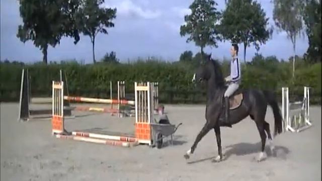 Hilmar Meyer Sporthorses 2015 Greta home смотреть онлайн