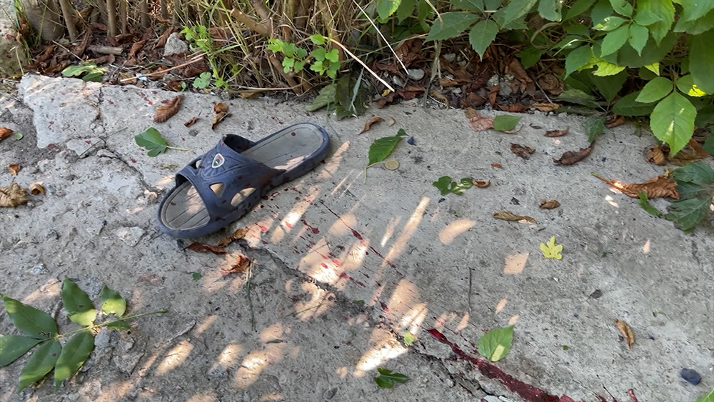 На позициях ВСУ нашли запрещенные к применению французские мины / События на ТВЦ