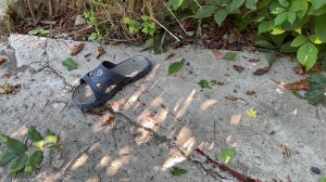 На позициях ВСУ нашли запрещенные к применению французские мины / События на ТВЦ
