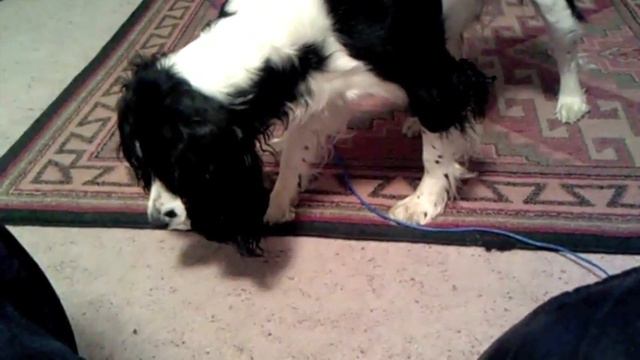 The Hunter смотреть онлайн